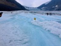 auf dem Athabasca Gletscher stehend