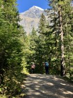 Wanderung dem Robson Fluss entlang mit Mt Robson in Sicht