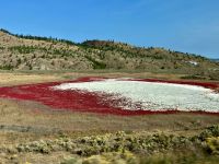 Die Salzseen bei Kamloops