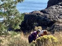 Naturliebhaberinnen untersuchen Salbeipflanze
