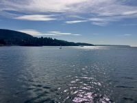 Kennedy Lake auf dem Weg nach Tofino