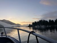 Fruehmorgends, Bärenbeobachtung im Pacific Rim National Park