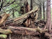 uups so ein Durcheinander