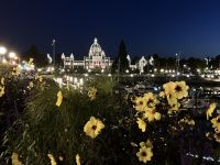 Das toll beleuchtete Parlament in der Nacht