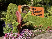 die wunderschoenen Butchart Gardens