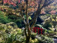 Einfühlsamer japanischer Garten