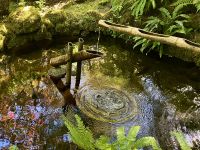 Die Zeit wird dargestellt