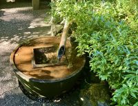 Im Japanischen Garten 