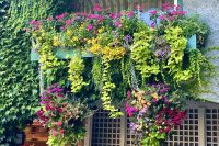 So einen Balkon wünschen wir uns nun auch 