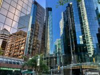 Spiegelungen-negnulegeipS-lungenspiege-