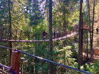 Der Baumwipfelpfad in Capilano suspension Bridge Park