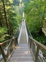 Die gefürchtete Hängebrücke....wir schaffen das alle 