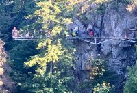 Der Felssteig in Capilano Suspension Bridge Park