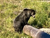 Grinder turnt und streckt seine 400 Kg 