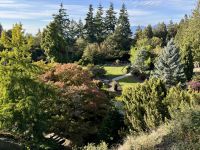 17. Tag – Stadtrundfahrt Vancouver – Queen Elizabeth Park