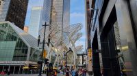 Stephen Avenue in Calgary - künstliche Bäume als Windfänger