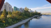 Bow River in Calgary