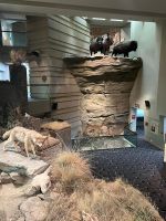 Im Besucherzentrum Head-Smashed-In Buffalo Jump in Alberta