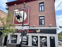 The pig, in Montreal
