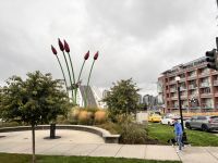 Heberücke, Victoria, Vancouver Island