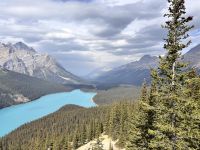 Peyto Lake und Gletscher