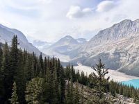 Peyto Lake und Gletscher