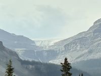 Bow Gletscher am Icefield Parkway
