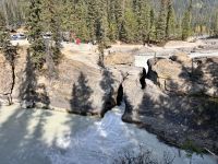 Natur Brücke, Yoho National Park