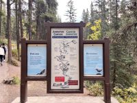 Johnston Canyon, Alberta