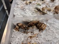 St. Lawrence Market, Toronto