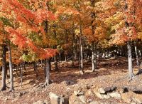 Indian Summer im Omega Parc