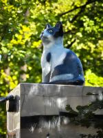 Berczy Park Toronto - Kanada 