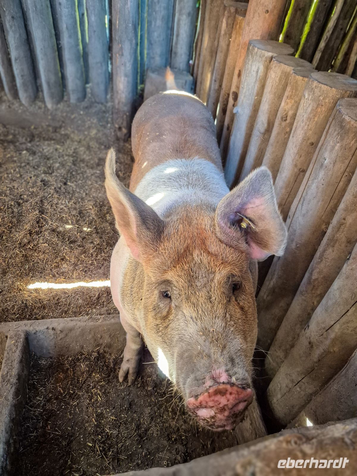 Museumsdorf Sainte-Marie Among the Hurons - Kanada 