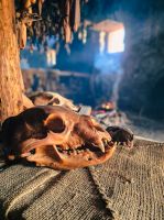 Museumsdorf Sainte-Marie Among the Hurons - Kanada 