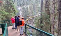 Wanderung im Johnston Canyon