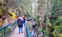 Wanderung im Johnston Canyon