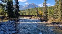 Fluss am Besucherzentrum im Ort Lake Louise