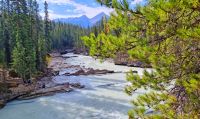 Kicking Horse River im Yoho-Nationalpark