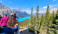 Peyto Lake am Icefield's Parkway