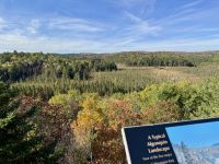 5. Tag – Durch den Algonquin Park nach Ottawa – Aussicht vom Besucherzentrum des Algonquin Parks
