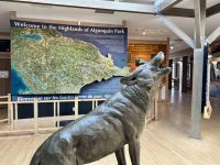5. Tag – Durch den Algonquin Park nach Ottawa – Im Besucherzentrum des Algonquin Parks