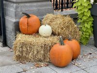 6. Tag – Ottawa bis Montréal – Rideau Hall in Ottawa – Herbstdeko