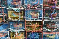 2. Tag - Peggy's Cove (9)