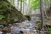 4. Tag - Cabot Trail (10)