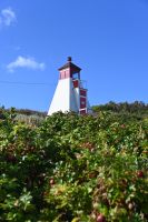 4. Tag - Margaree Harbour (3)