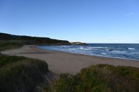 4. Tag - Margaree Harbour (6)