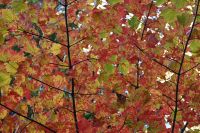 9. Tag - Canyon Sainte-Anne (15)