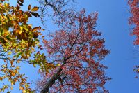 9. Tag - Canyon Sainte-Anne (16)