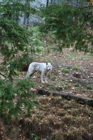 11. Tag - Omega Park (10)