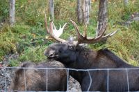 11. Tag - Omega Park (12)